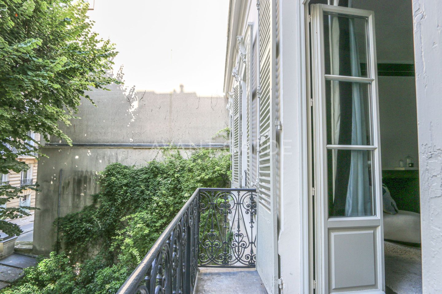 Photo n° 6