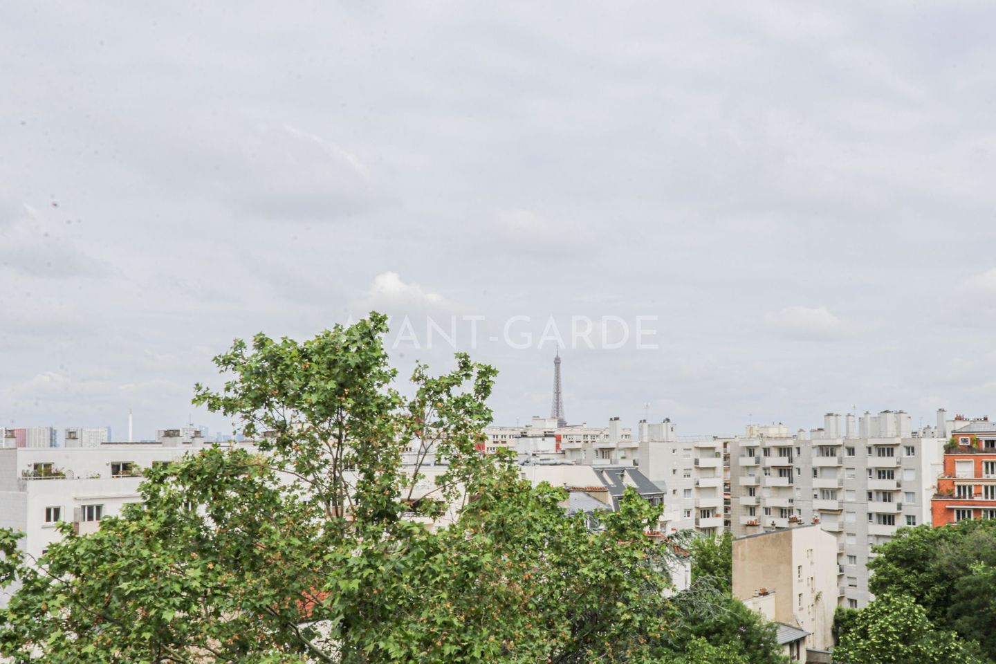 Photo n° 23